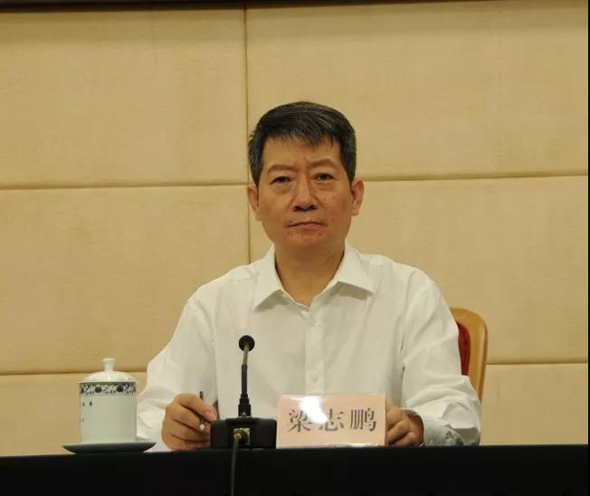 國家能源局：上半年能源消費持續(xù)回暖 可再生能源裝機(jī)達(dá)6.8億千瓦